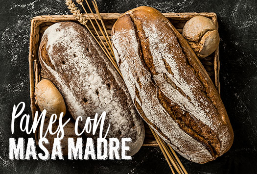 PANES CON MASA MADRE